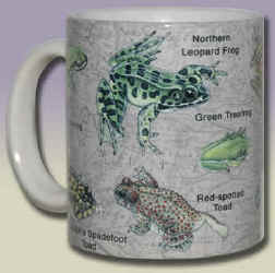 Frogs Of North America Ceramic Mug