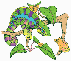 Chameleon on a t-shirt with UV reactive dye that shows color in daylight and is black and white indoors tshirt tee shirt