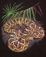 north American Herps reptile snakes youth, cotton reptile t-shirts, tees, serpent teeshirt, t-shirts, t-shirts, herpetology