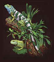Iguana lizard t-shirt tshirt tee shirt