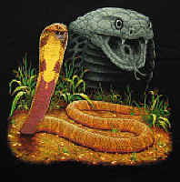 Cobra Herps reptile snakes youth, cotton reptile t-shirts, tees, serpent teeshirt, t-shirts, t-shirts, herpetology