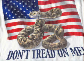 north American Herps reptile snakes youth, cotton reptile t-shirts, tees, serpent teeshirt, t-shirts, t-shirts, herpetology