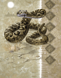 north American Herps reptile snakes youth, cotton reptile t-shirts, tees, serpent teeshirt, t-shirts, t-shirts, herpetology