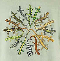 salamander species on a t-shirt
