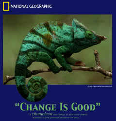 Chameleon lizard t-shirt tshirt tee shirt